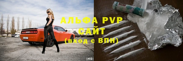 стаф Белокуриха